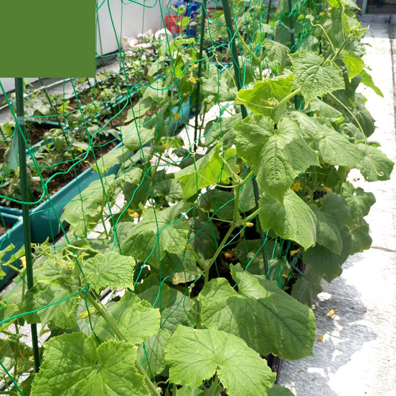 Tewango Heavy Duty Nylon Net Support for Cucumber Morning Glory Petunia Flowers Veggie Trellis Net Plant Climbing Vine