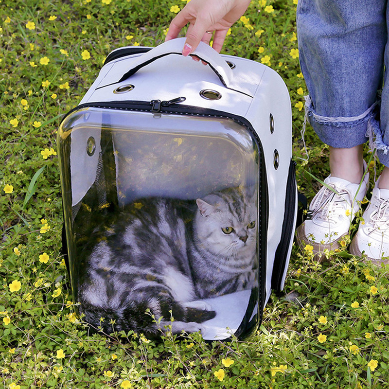 Kjæledyr katt bæreveske katt bære ryggsekk firkantet utendørs bære reise kjæledyr poser pustende gjennomsiktig katter dobbel skulderveske