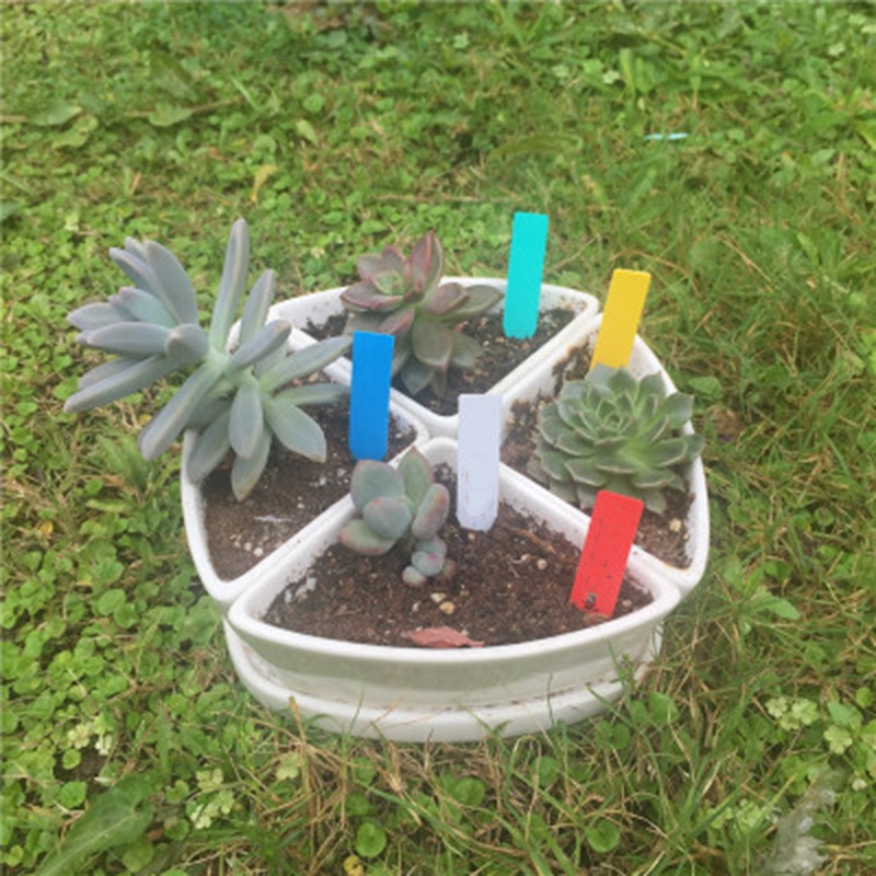 600 Plant Inserted Land Brand Succulent Label Gardening Flowers Agriculture Plastic Inserted Land Brand Potted Sign