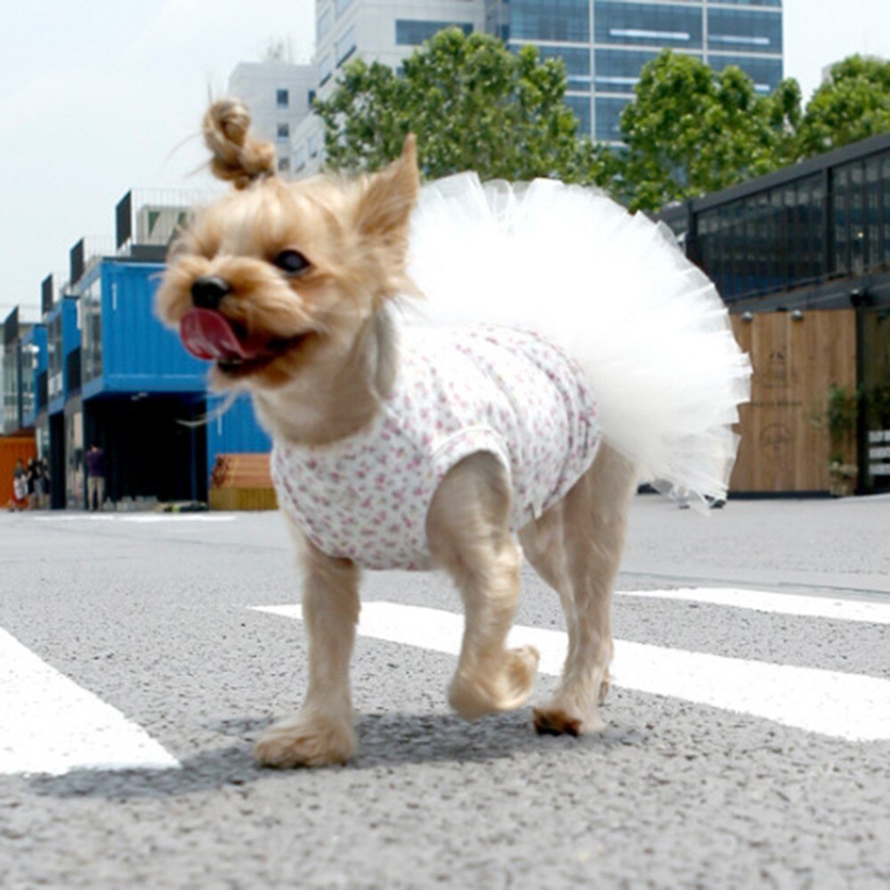 Zomer Hond Jurk Kant Tullle Pet Kleding Voor Kleine Honden Party Wedding Strik Jurken Puppy Kostuum Lente Huisdieren Kleding