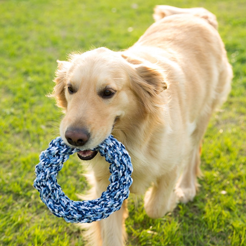 Bite Resistant Big Dog Chew Toys for Large Dogs Interactive Goldern Retriever Play Game Rope Knot Toy Pet Shop Dog Accessories