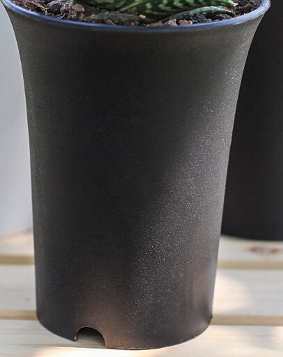 Lavabo de pelo antiguo para plantas suculentas, lavabo Vientiane, maceta de plástico redonda gruesa mate de cintura alta, jardinería en blanco y negro: Negro / Pequeño