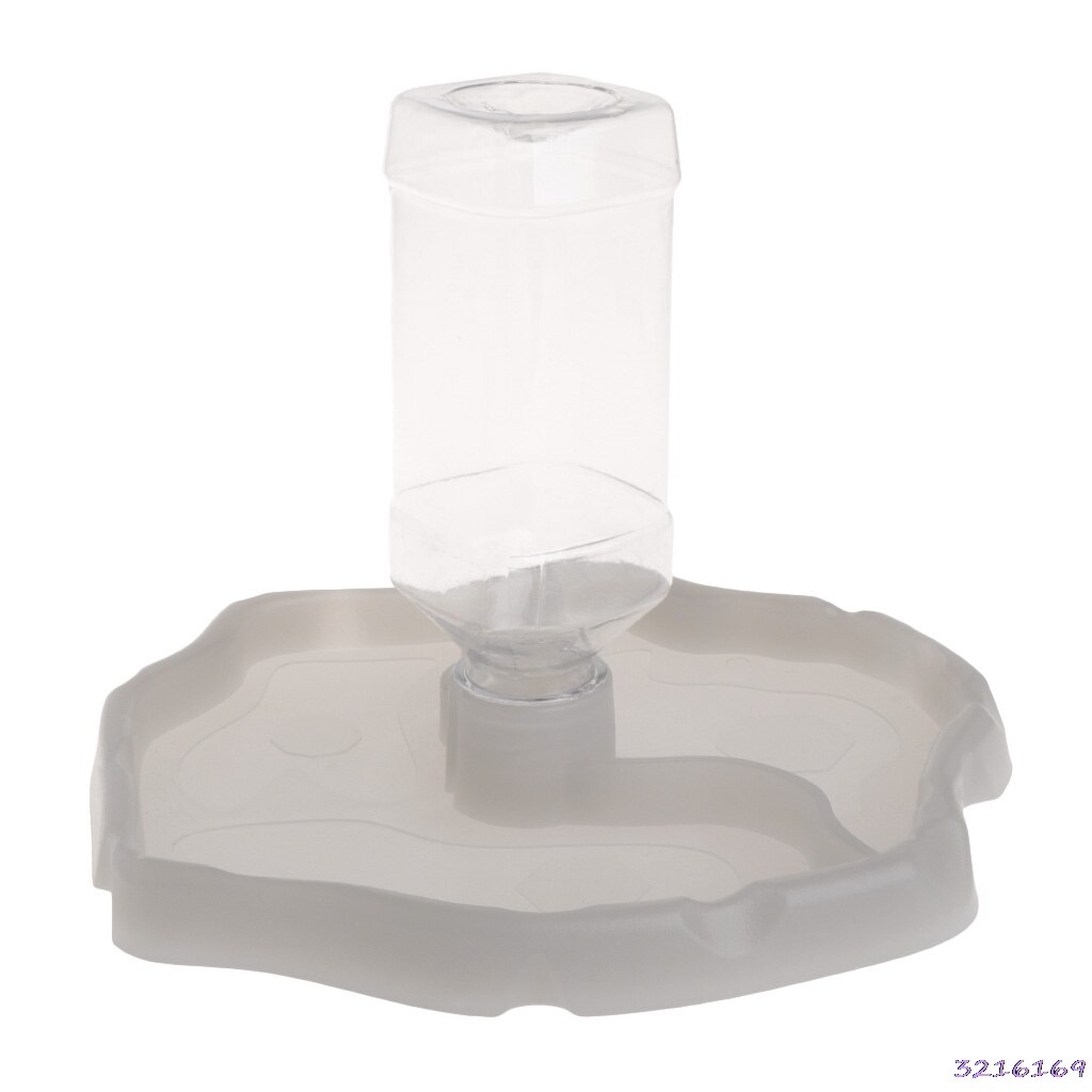 Reptile Feeder 2 in 1 Automatic Water Food Feeding Plate Lizard Turtle Dispenser: Night Luminous