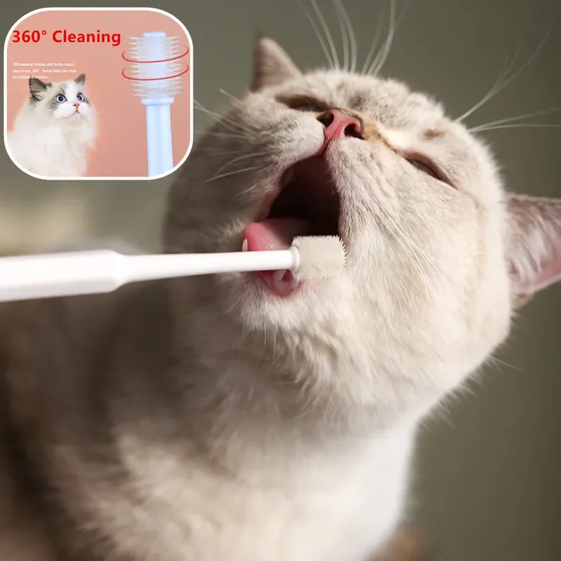 Brosse à dents pour chat, brosse à cheveux douce pour nettoyage de la bouche des chats, brosse pour nettoyage des dents, toilettage pour animaux de compagnie, produits pour animaux de compagnie