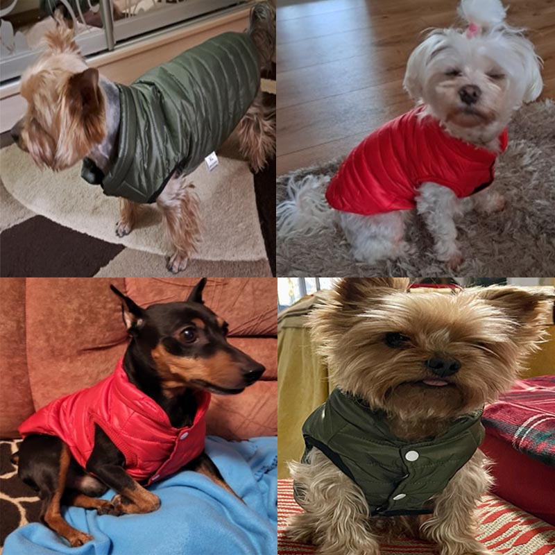 Ropa cálida para perros pequeños, chaleco cálido de invierno para mascotas, chaqueta para perros, chaleco para cachorros de Bulldog Francés, ropa para Chihuahua, traje, abrigo para Yorkies