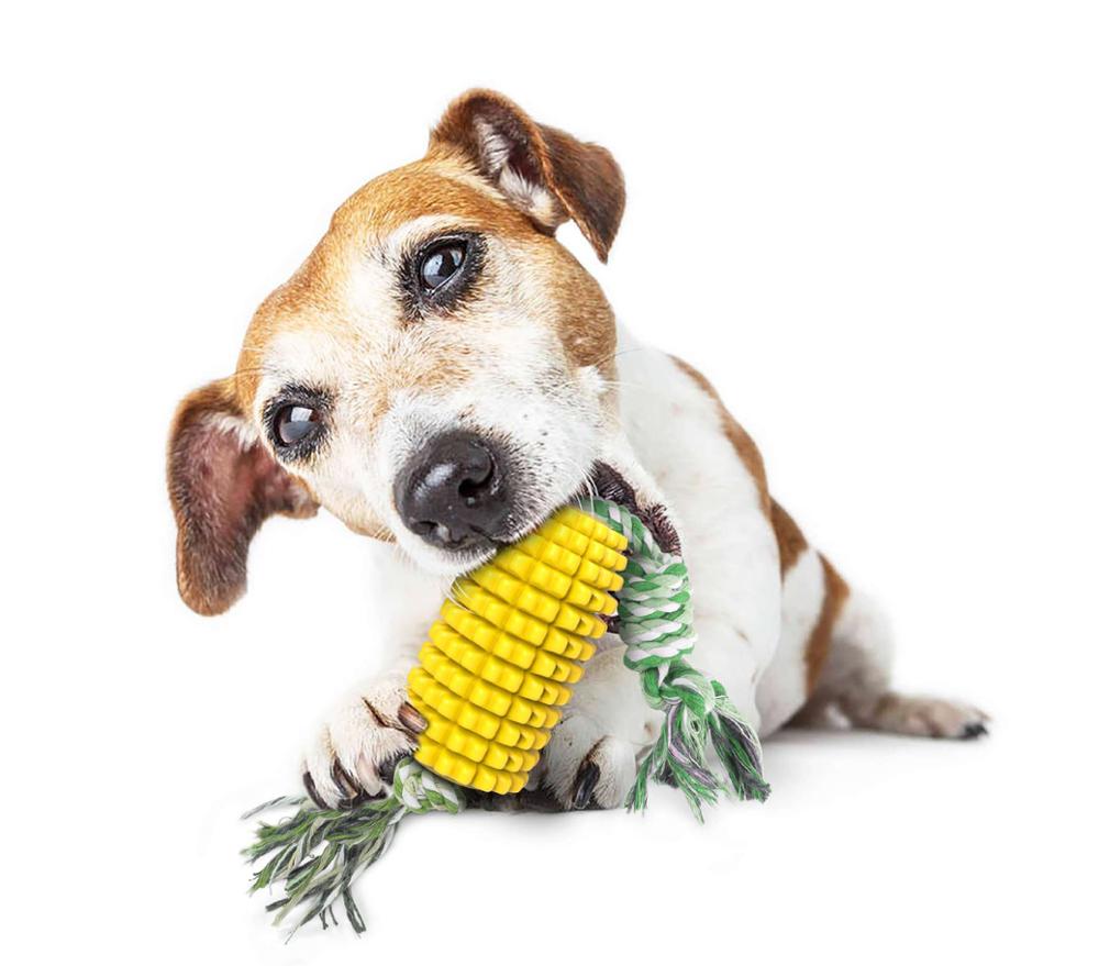Hund kæledyr molarstav interaktiv træning legetøj til hunde tænder børstning stor hund legetøj golden retriever hund sjovt legetøj