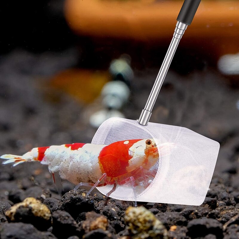 Fish Tank Shrimp Net Extendable Handle Shrimp Net Aquarium Stainless Steel Small Fishing Net Fish Shrimp Skimming Net