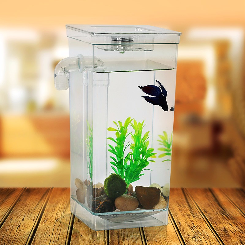 AsyPets Self Cleaning Plastic Fish Tank Desktop Aquarium Betta Fishbowl for Office Home Decor-25 Aquarium decoration combination: Square