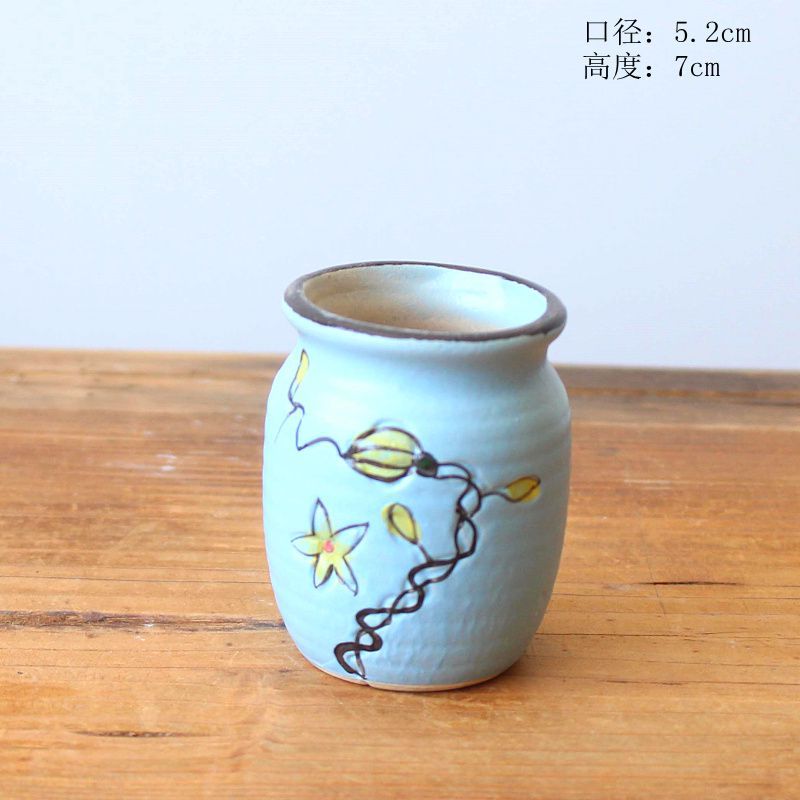 Home and Garden Nursery Pot Desktop Small Pot Green House Growing Kit Garden Supplies Pot for Orchid Plant Seeder Desk Decor: D