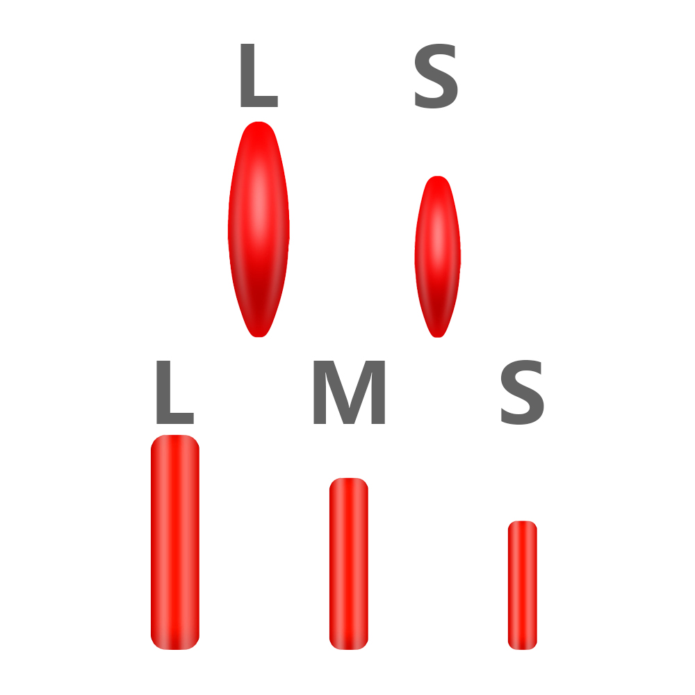 10 Stuks Eva Opvallende Bonen Visserijvlotter Fluorescerende Drift Bal Schuim Hit Indicator Visserijvlotter Drijfvermogen Bal Vissen Accessoires