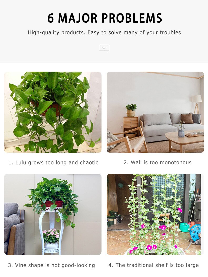 10/20 Invisible Plant Climbing Wall Clip Wall Vines Fixture Wall Sticky Hook Tools Instruments Storage Hanger Multi-function