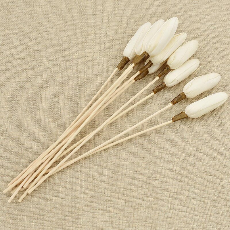 10pcs Wilg Rotan Riet Olie Diffuser Refill Stok DIY Handgemaakte 5.5mm Reed Diffuser Vervanging Stick Home Decor