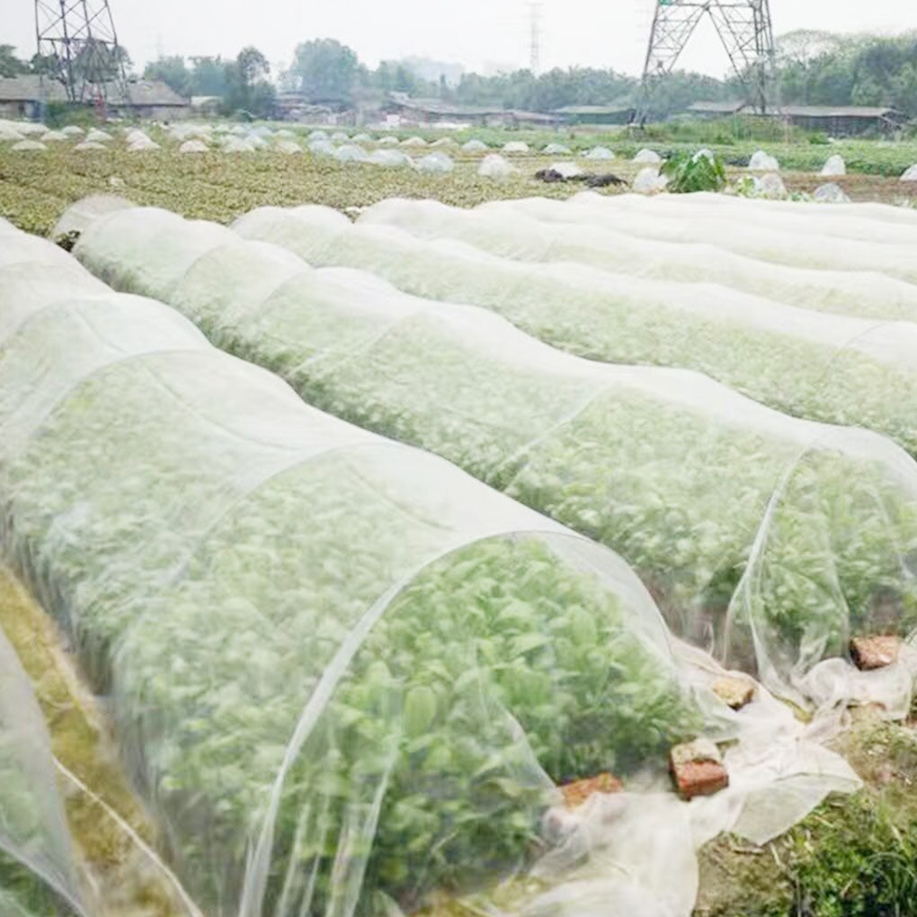 Groenten Planten Bescherming Netto Polyethyleen Plant Crop Mesh Netto Anti Insecten Netting