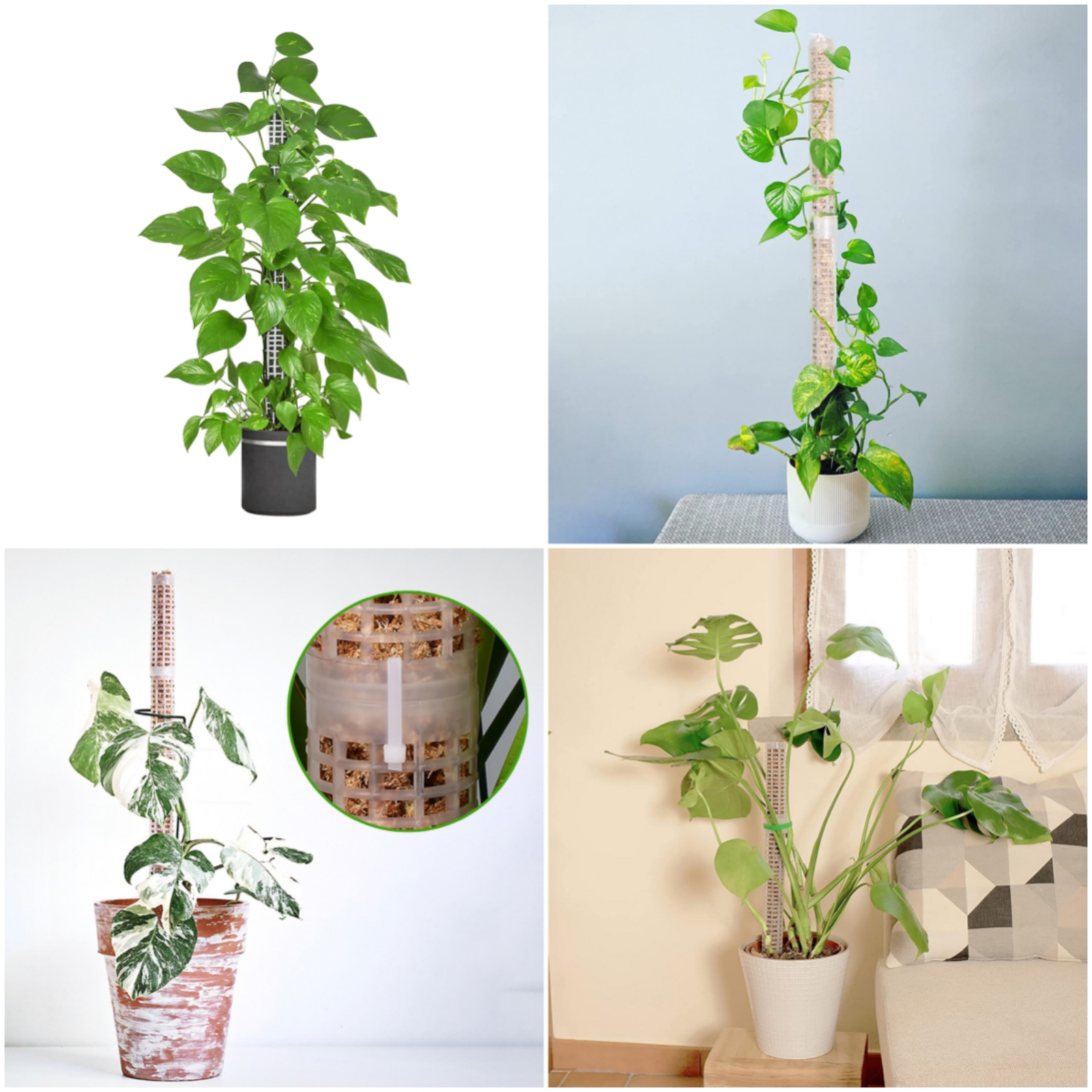 1PC Plant Climbing Trellis Stackable Mesh Moss Pole Monstera Plastic Net Stereotyped Coconut Palm Green Dill Column