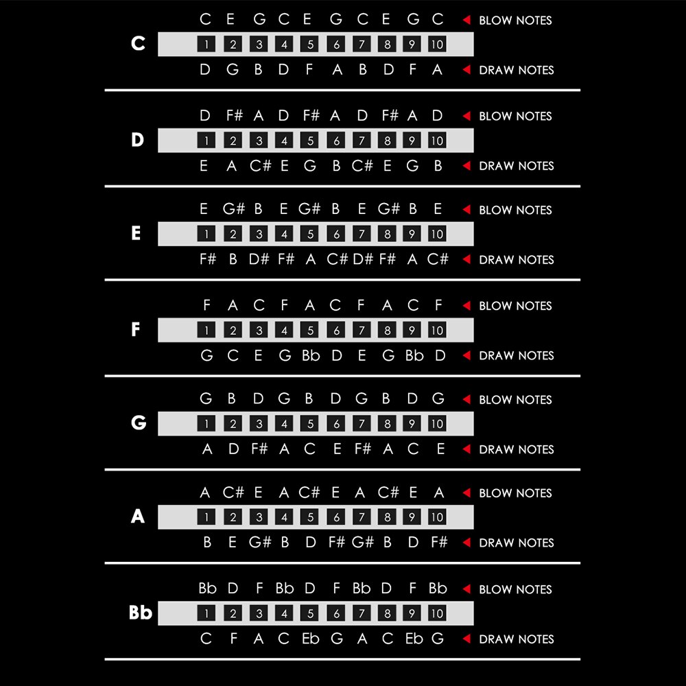 Sealed 7pcs Harmonicas Blues Band Harmonica Set
