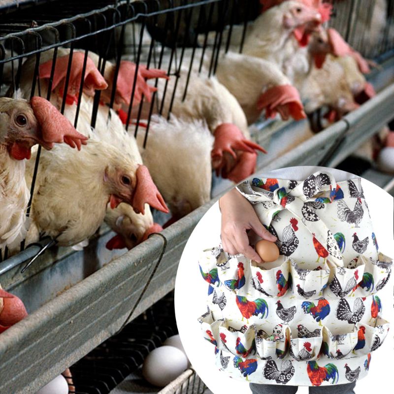 Multi-kieszeń jajko zbieranie zbiorów fartuchy kurczak farma praca fartuch gęsi jaja kolekcja fartuchy 3 styl C42