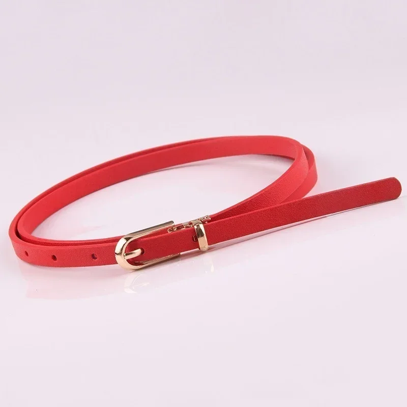 Ceinture de Taille Fine pour Femme, Accessoire de , Style 2023: Rouge