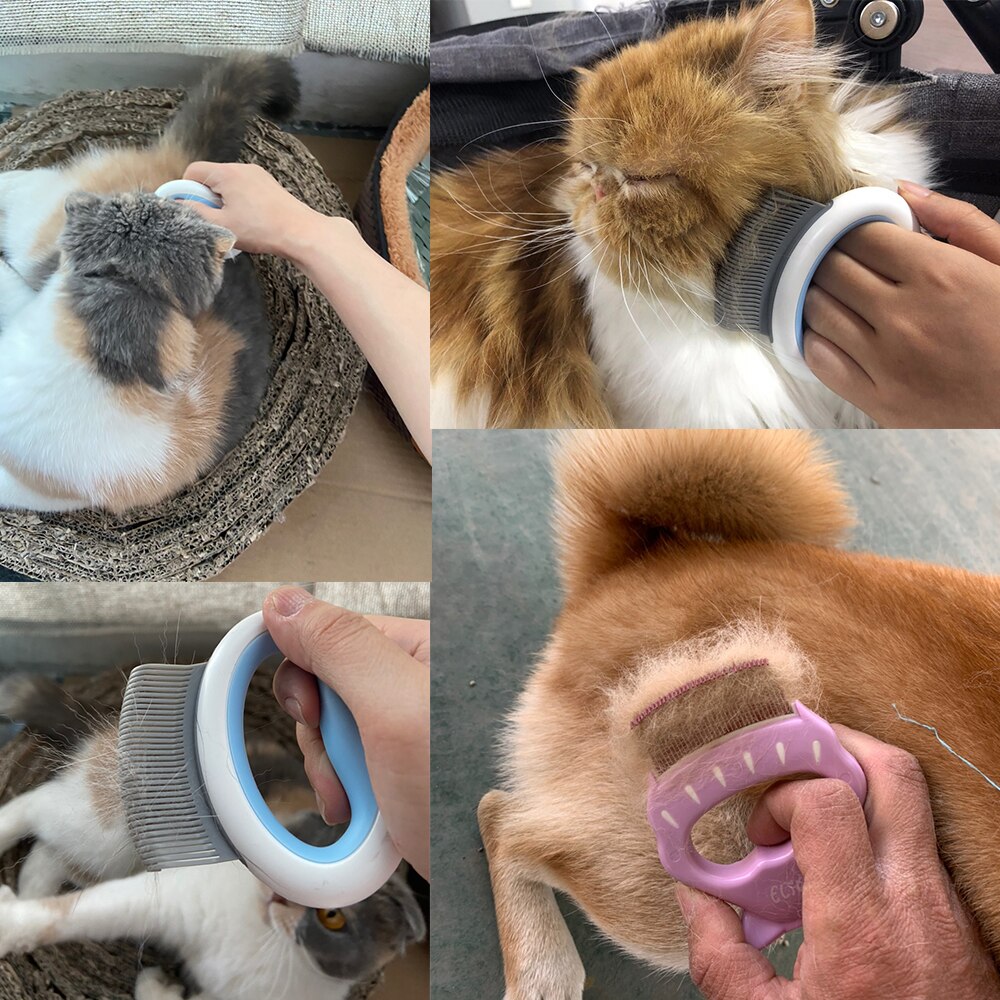 Huisdieren Kat Hond Massage Shell Kam Grooming Borstel Handvat Haar Ontharing Shedding Schoonmaak Tool Huisdier Producten