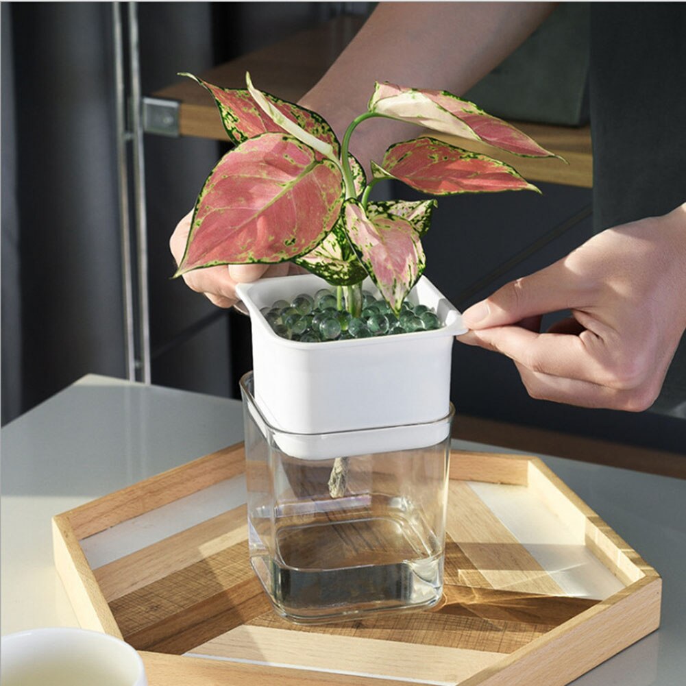 Lui Self-Watering Bloempot Automatische Wateropname Succulent Aquacultuur Transparante Ronde Plastic Hydrocultuur Bloempot