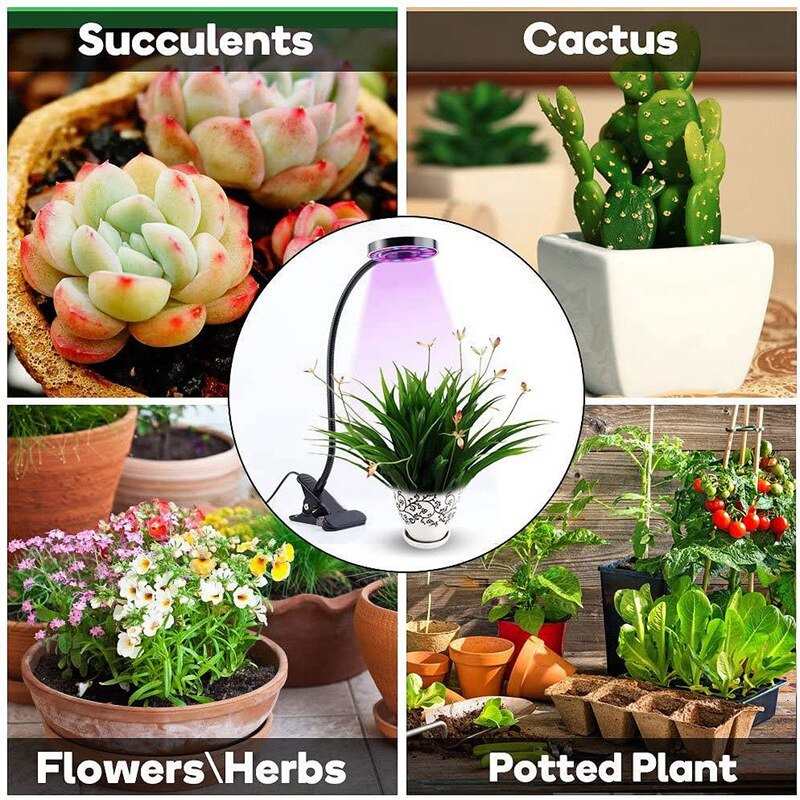 Led plantengroeilamp enkelkops plantenlamp usb ringlamp kamerplantenvullamp groeilamp
