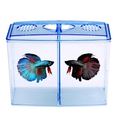 hting fish box small fighting fish tank mini creek isolation double box fish box desktop ornamental fish breeding breeding hatch