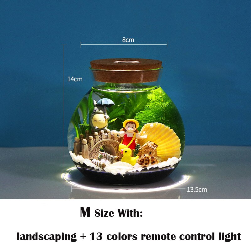 Botella ecológica portátil para acuario, Cubo de Micro paisaje, pecera de escritorio para oficina, vidrio ecológico: M With Parts