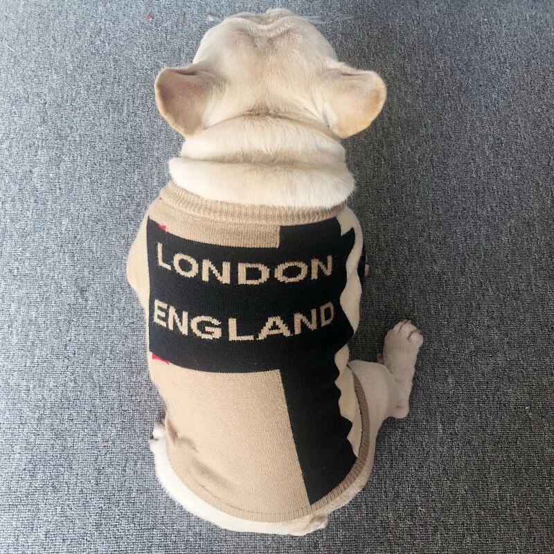 Bouledogue français hiver pull londres angleterre vêtements luxe chien manteau Teddy Chihuahua carlin chiot pull