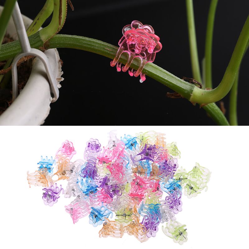 60 stk plastik plante fix clips orkidé clips have støtte clips orkidé dyrker blomster frugt vin støtte