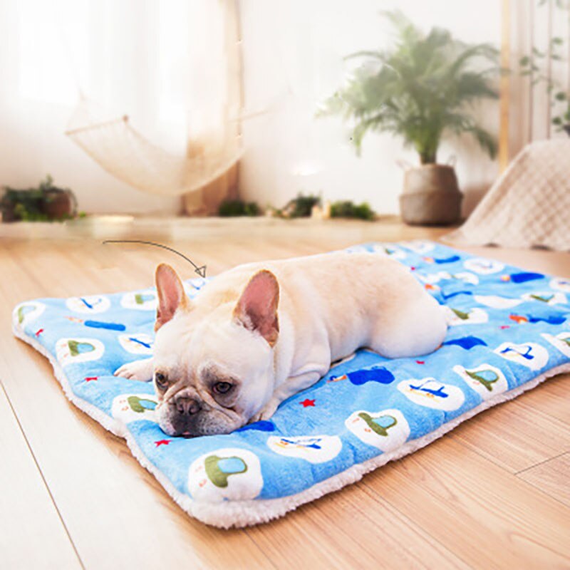 Ouyxr Huisdier Zachte Huisdier Deken Winter Hond Kat Bed Mat Foot Print Warm Slapen Matras Honden Katten Coral Fleece Huisdier levert