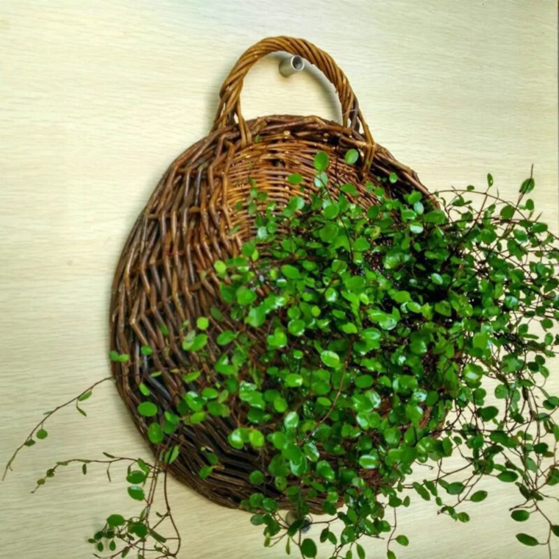Panier de rangement en rotin, paille, osier naturel, Pot mural suspendu, conteneur, support de plantes, paniers décoratifs pour guirlande de fleurs