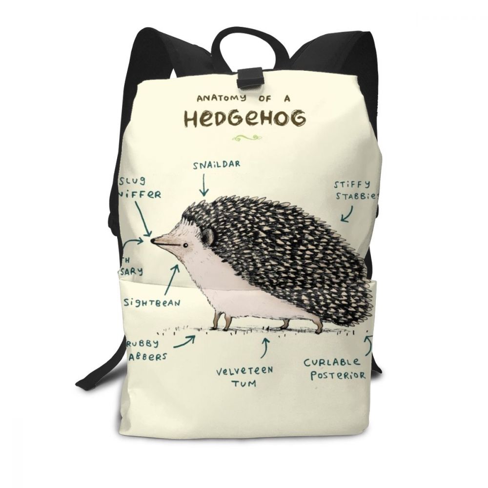 Hedgehog Backpack Hedgehog Backpacks School Bag Men - Women Pattern Trending Student Bags: Anatomy Of A H