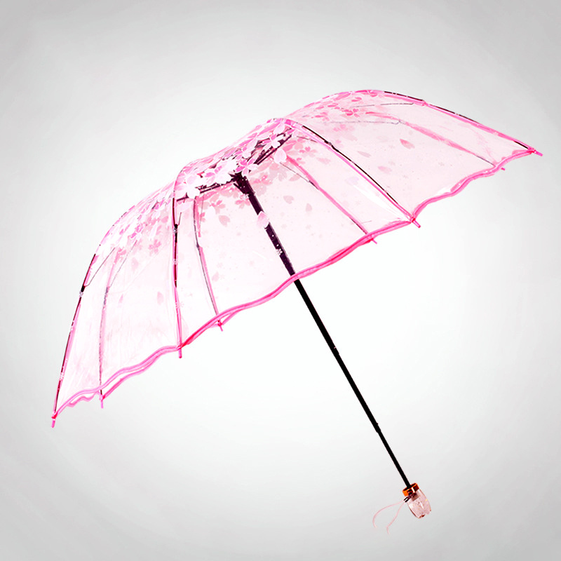 Anpassung von Prinzessin Regenschirm Werbung Regenschirm mit rean Klapp Apollo Transparent Arch und Drei Falten Regenschirm