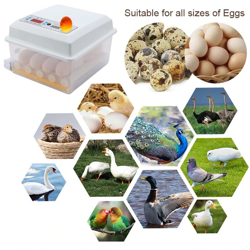 220V Egg Incubator Brooder Bird Incubators Hatchers Chickens Poultry Hatcher Farm Automatic Hatchery Incubation Tools