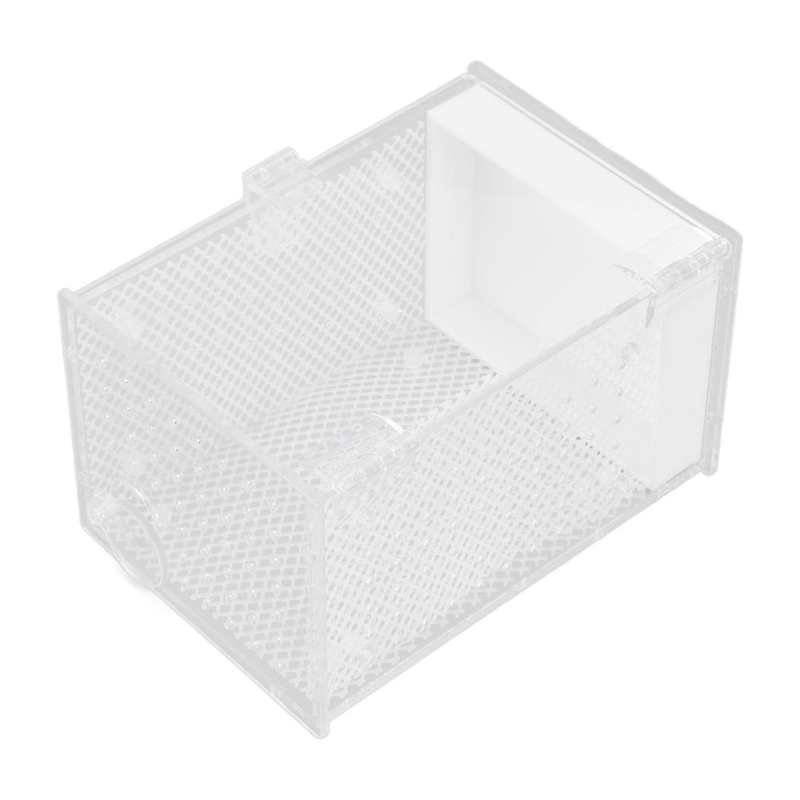 Insect Rearing Box Mantis Easy Cleaning Landscaping Acrylic Insects House Feeding Hole for Insect Rearing for Insect Feeding