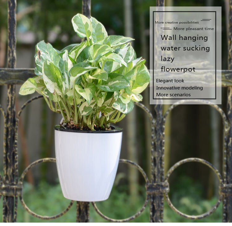 AA Lazy Automatic Water-absorbing Flower Pot Succulent Wall-mounted Hydroponic Plastic Flower Pot