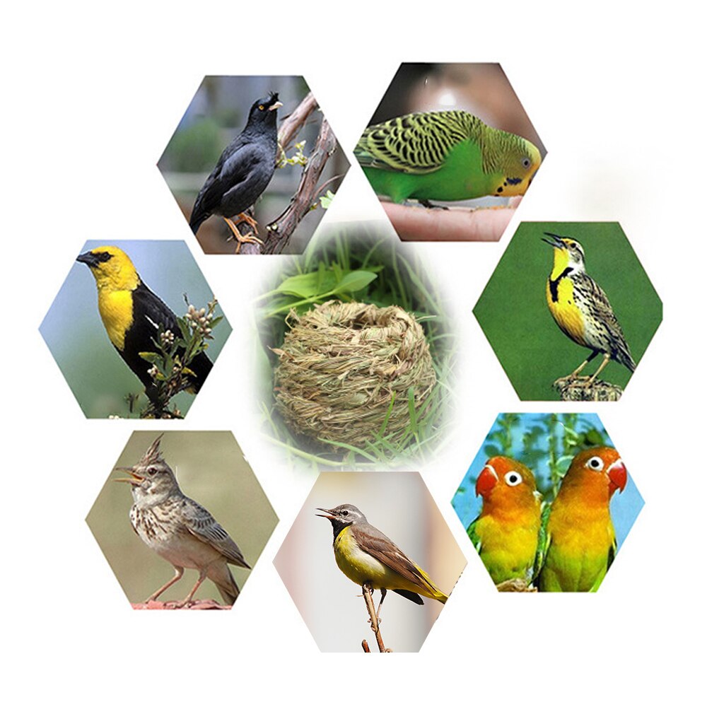 Oiseau maison jardin oiseaux nid fait main herbe Durable extérieur Cage oiseau maison tissé perchoir décoration perroquet nid