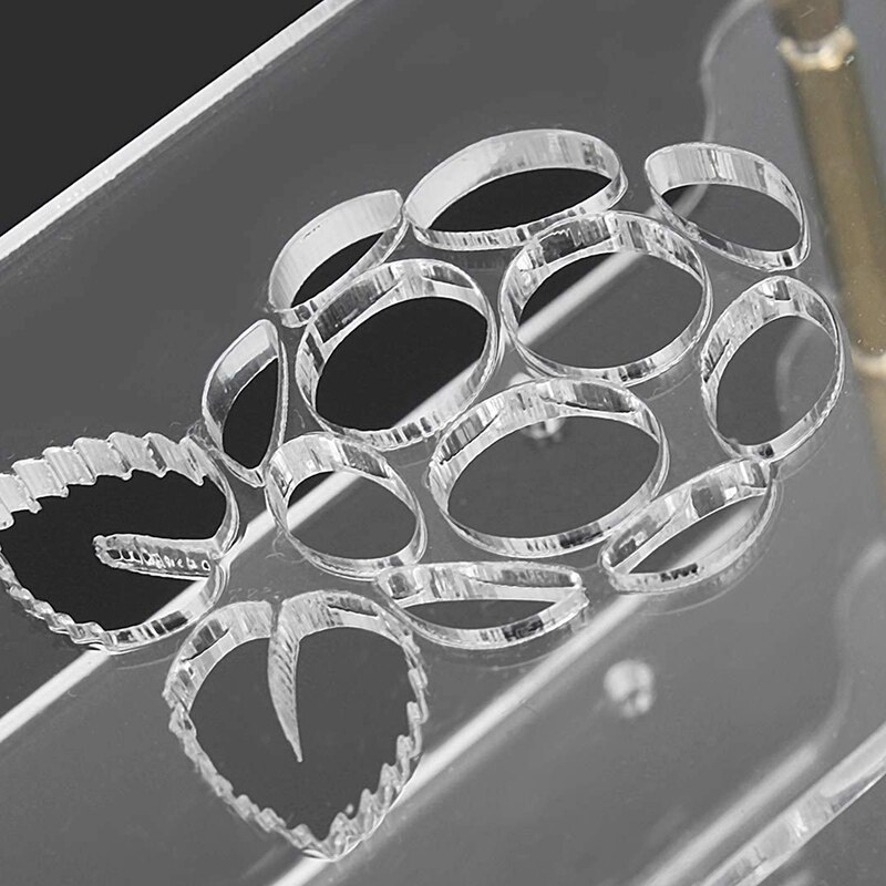 Acrylic Shell Dog Bone Box for Raspberry Pi 3 Model B 3B Plus 2B 4B