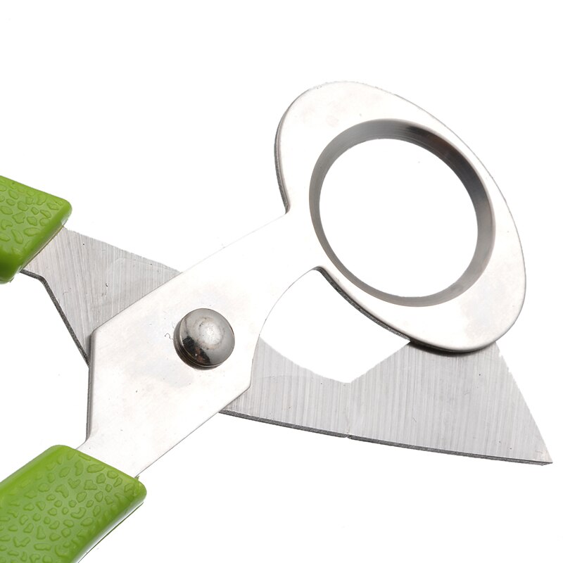 Quail Egg Scissor Bird Cutter Opener Kitchen Tool Clipper Shells Scissors Cracker Cigar Stainless Steel Cutter A#1