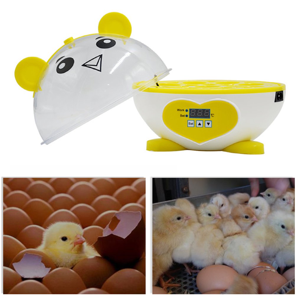 9 Eggs Incubator Automatic Temperature Control Household Incubator Manual Incubator Chicken Duck Quail Birds Egg Incubator