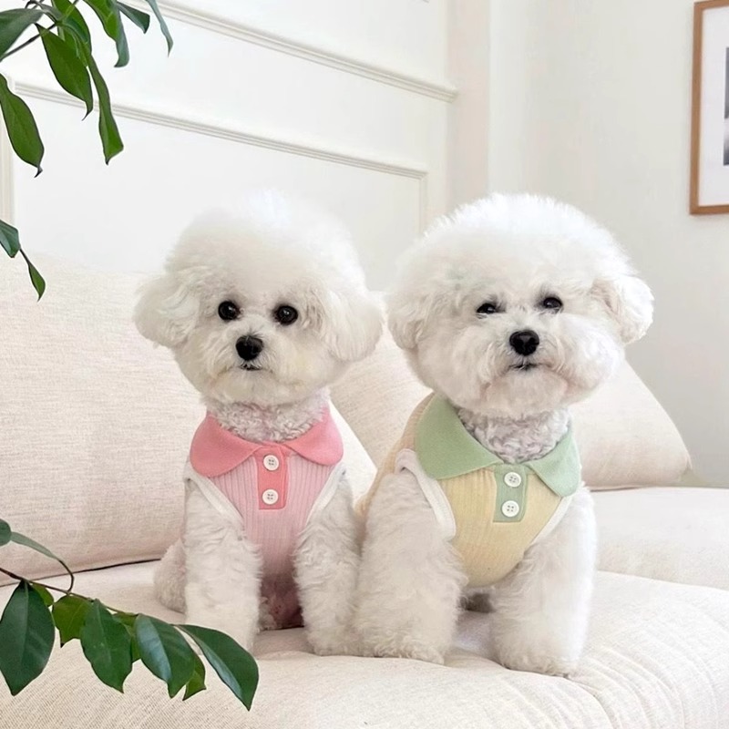 Vêtements pour chiens imprimés fraises, gilet rose pour animaux de compagnie, Costume pour chiot, Polo pour chien et chat, Chihuahua Bichon, T-Shirt mignon pour filles, pull pour chien: XS / Bleu marine