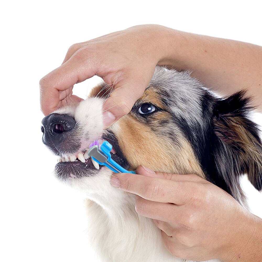Cepillo dental para perro, cepillo de dientes de Gato suave con tres lados, cepillo de dientes de goma para perros, herramienta para dientes de sarro de mal aliento, accesorios para mascotas