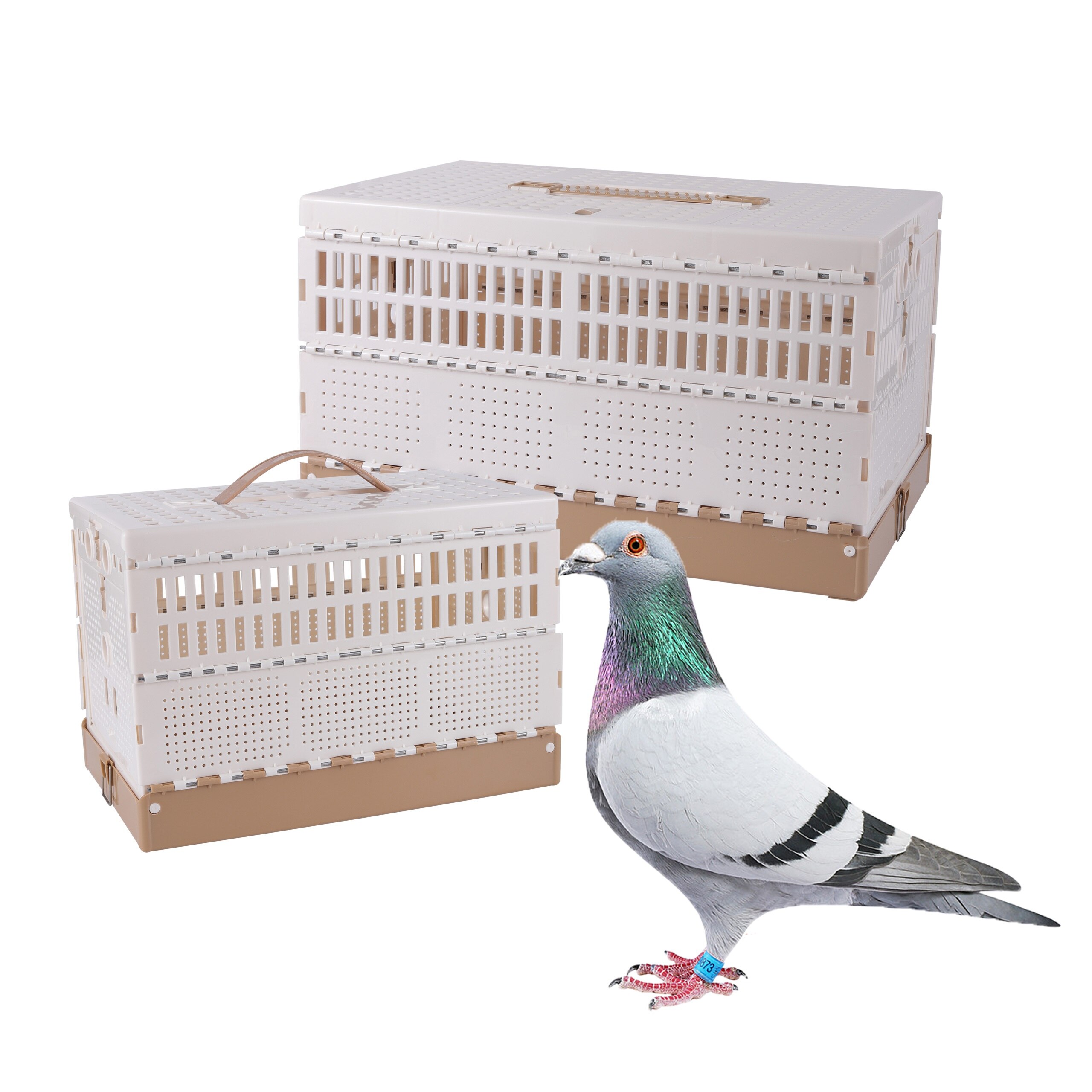 Pliant Cage à Pigeons Pigeon Entraînement Portable Cage Pigeon voyageur Formation Libération Cage Volant Cage Cage à Pigeons