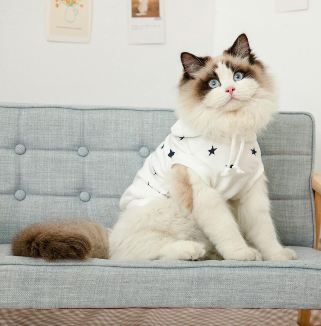 Ropa de algodón para gato, camisa de chaleco para perros pequeños y medianos