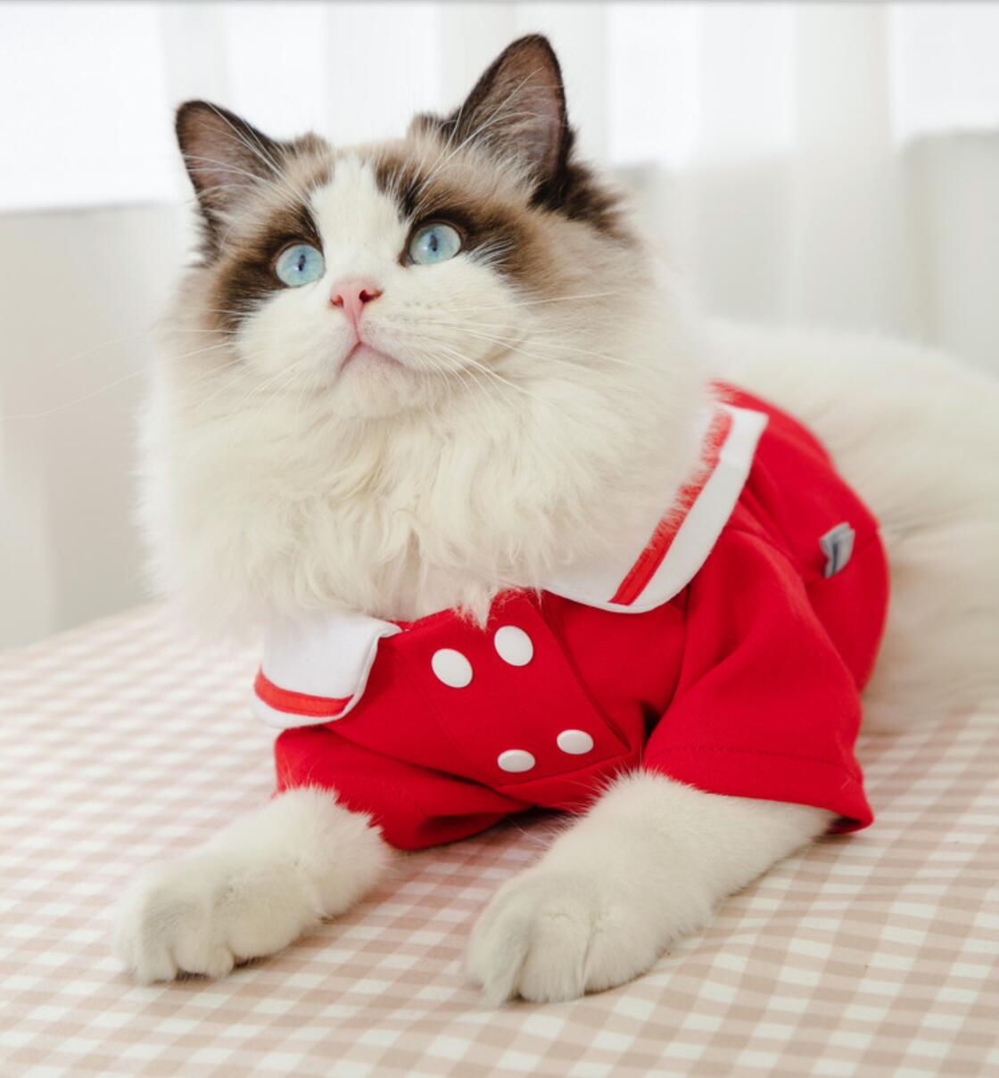 Cuate Cat Clothes Girl Small Dog Skirt Pet Clothing Summer Spring Cat Puppy Clothing