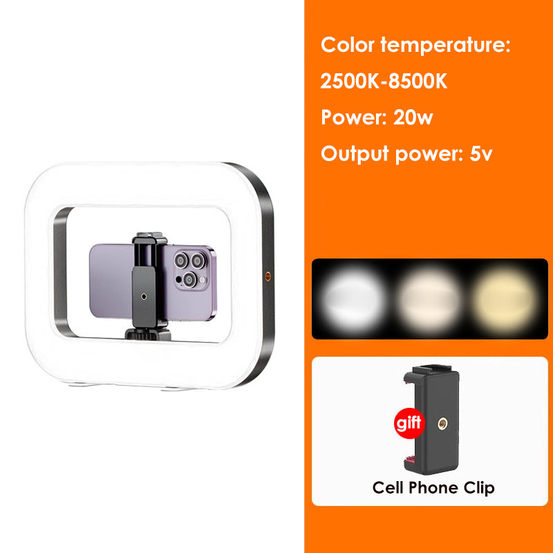 20W Ring Light Cell Phone Handheld Stabilizer 2500K-8500K Build in 8000mAh Rechargable Battery Selfie Video Light for Smartphone: WHITE