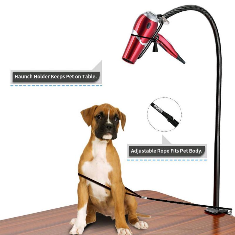 Dualuse Pet Hair Dryer Bracket Telescopic Any Sha... Grandado