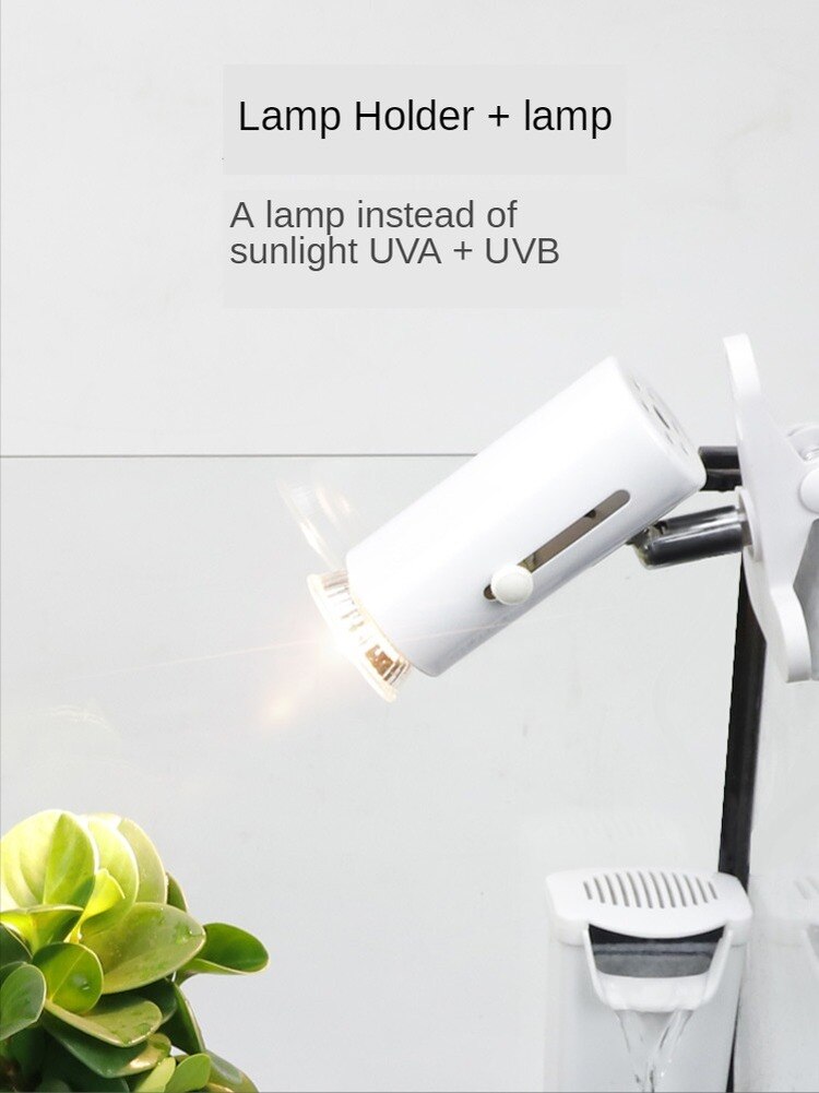 Tortoise Tanning Lamp Full Spectrum Sun Lamp Uvb Turtle Tank with Uva Heating Calcium Bulb Climbing Pet Back Photo Three In One