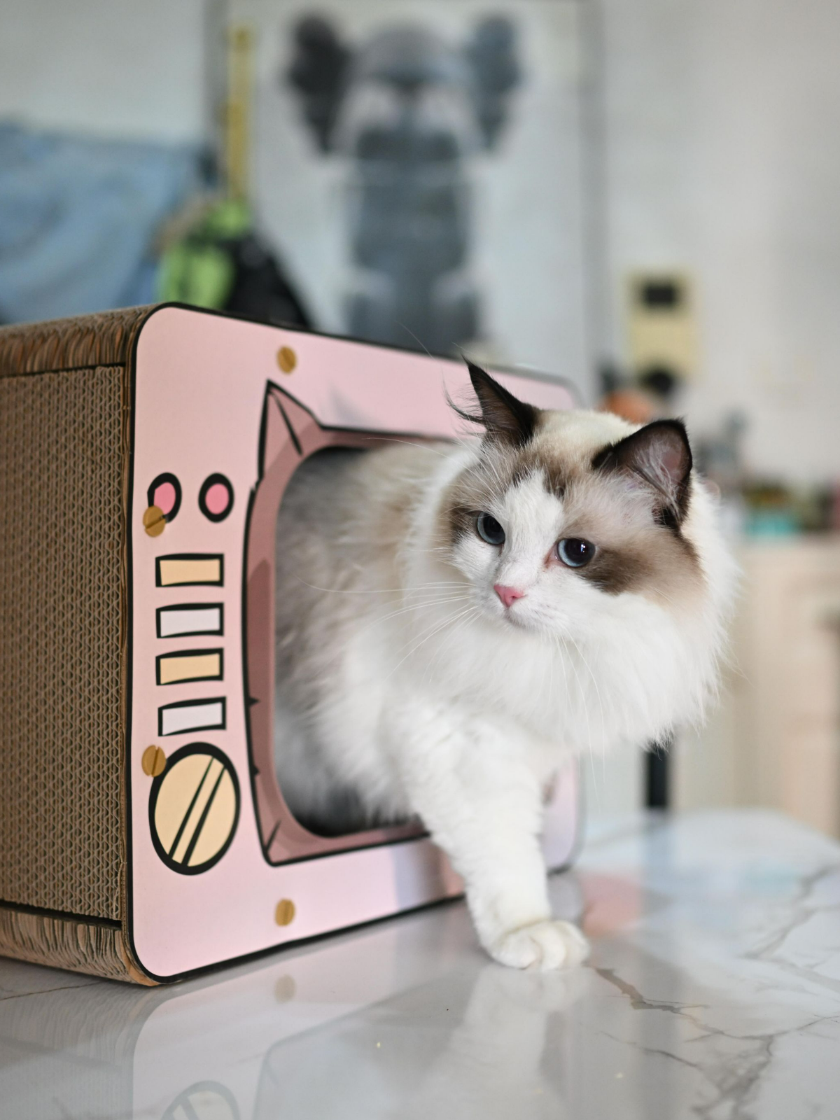 TV Cat Scratching Board Cat House Wearable Scratch Resistant Cat House Indoor for Cats