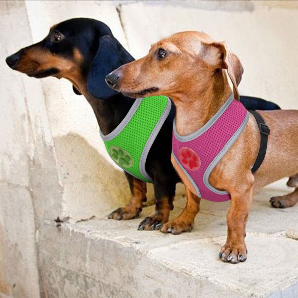 Åndbar lille hund kæledyr sele reflekterende hvalp kat vest sele justerbar til små mellemstore hunde chihuahua mops bulldog