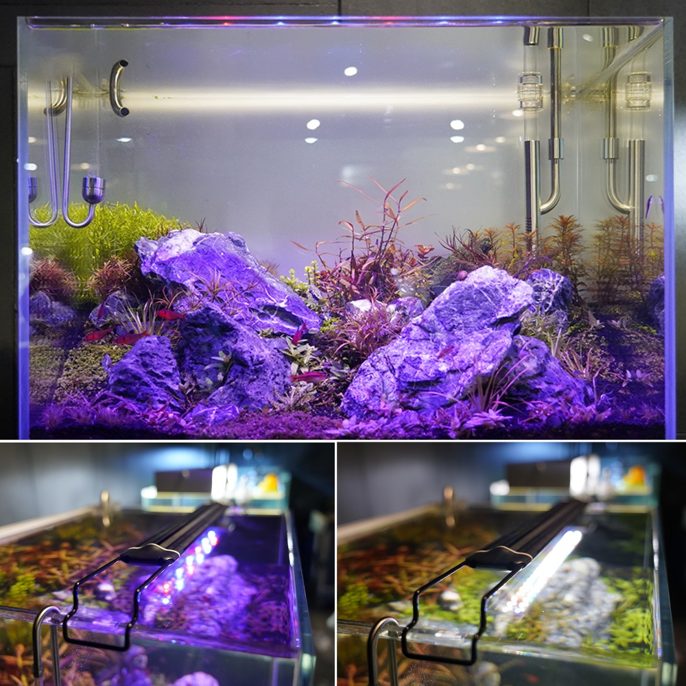 Lighting Aquarium Led Fish Tank Bracket Light Aquascape Lamp Marine Aquarium Lights Decor Deko Reef Aquatic